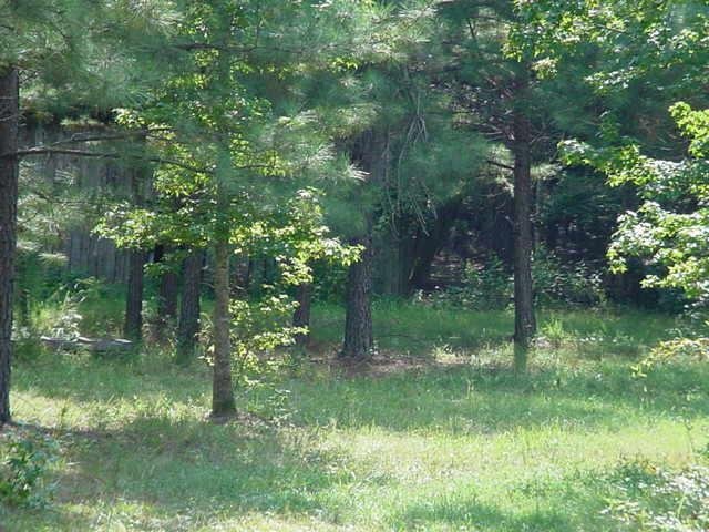 855 Spring Creek Road Summerville, GA 30747 - Photo 1 of 1 Gallery Image 1
