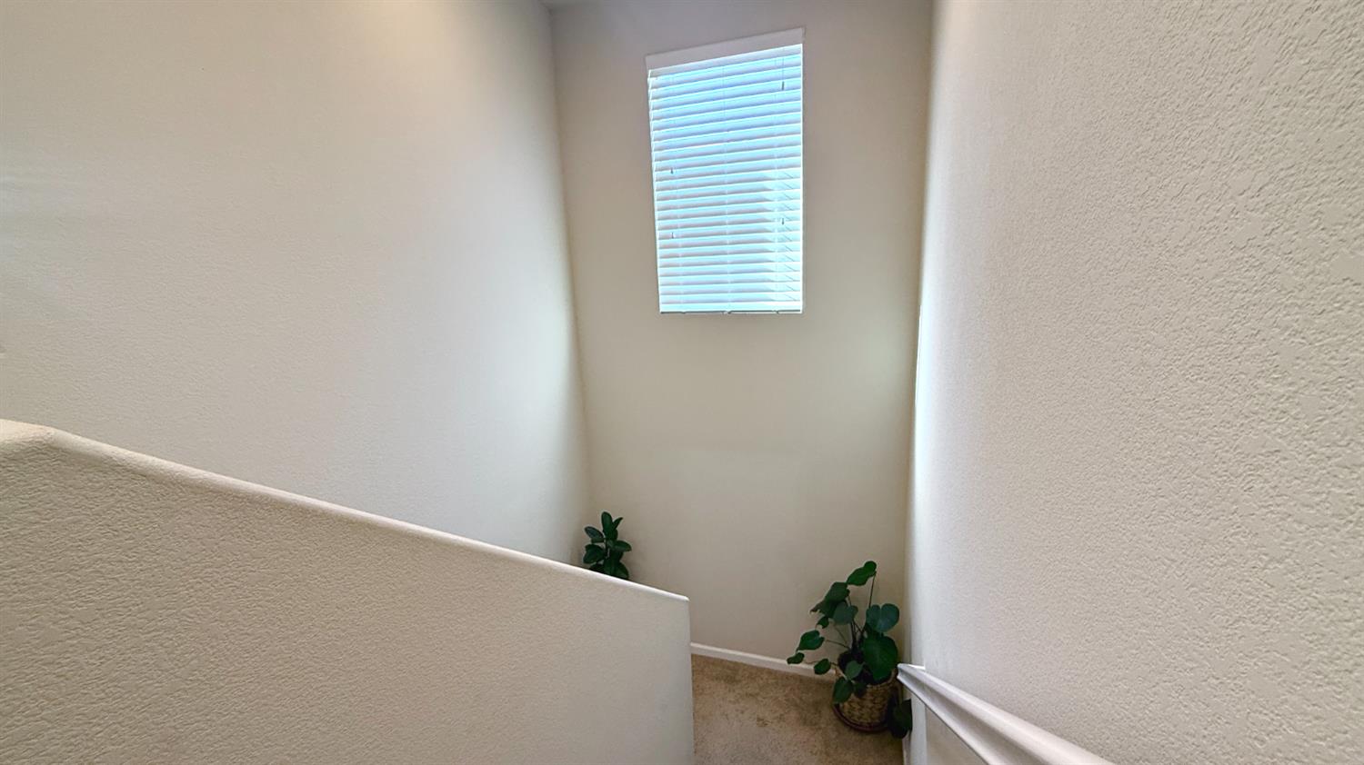 2767 Round Tree Way Manteca, CA 95337 - Photo 17 of 36