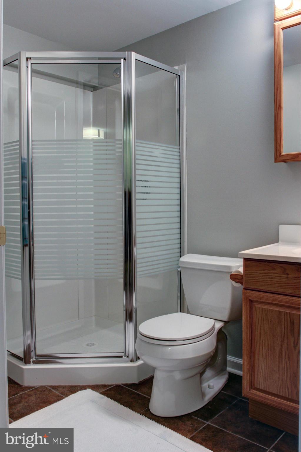 2306 Golden Chapel Road Odenton, MD 21113 - Photo 18 of 30 full bath in lower level