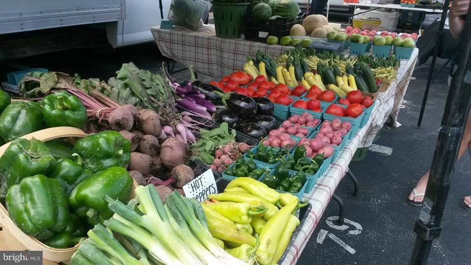 2306 Golden Chapel Road Odenton, MD 21113 - Photo 30 of 30 Piney Orchard local Farmer's Market