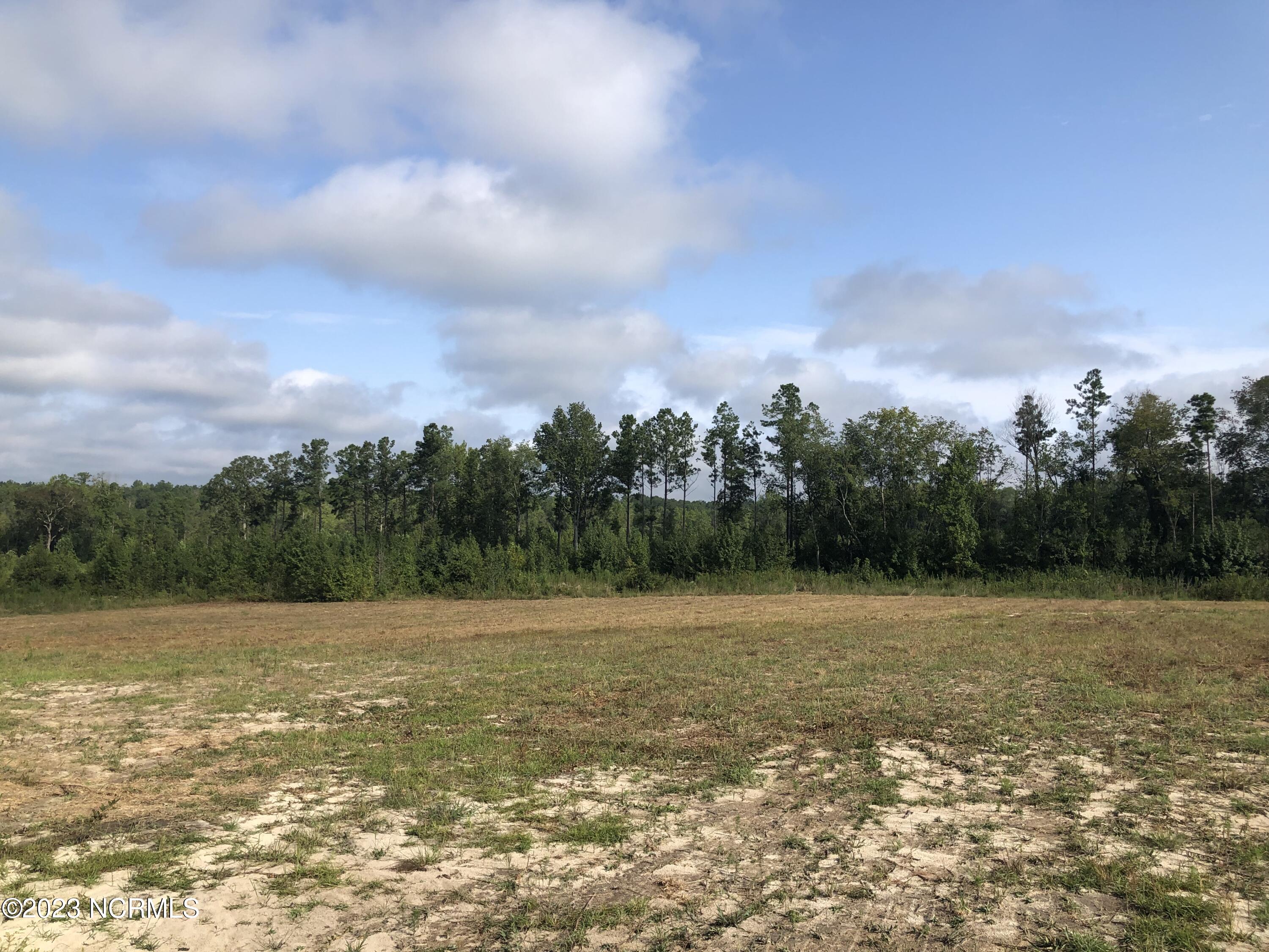 1668 Calloway Road Raeford, NC 28376 - Photo 18 of 20 9 acres!