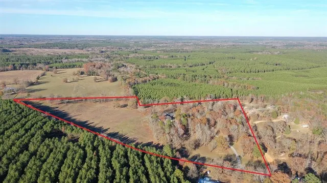 a view of a lush green field