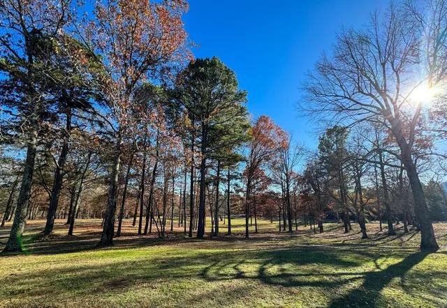 a garden view with a fountain