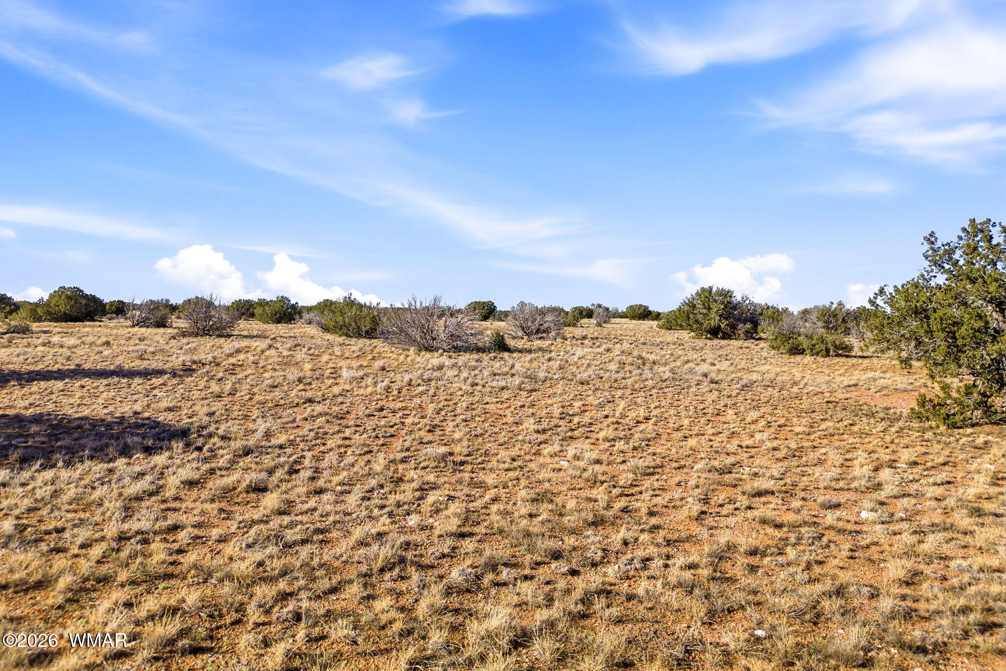 4 T14n R16e Heber, AZ 85928 - Photo 4 of 17