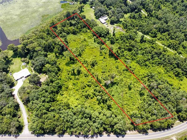 a view of a plant in a garden