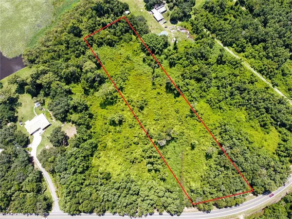 a view of a lush green forest with a tree