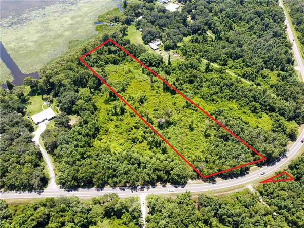 an aerial view of a garden with plants