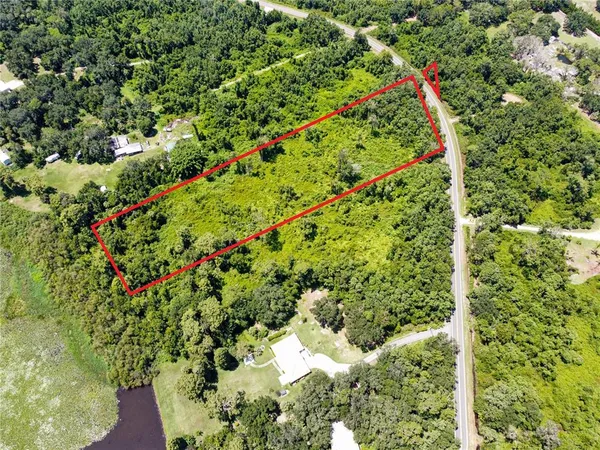 a view of a yard with a plant