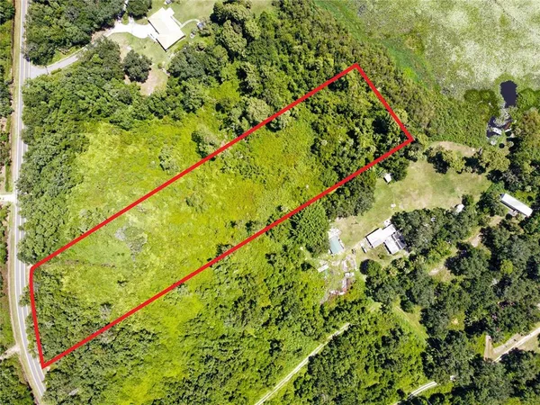 a view of a garden with a tree