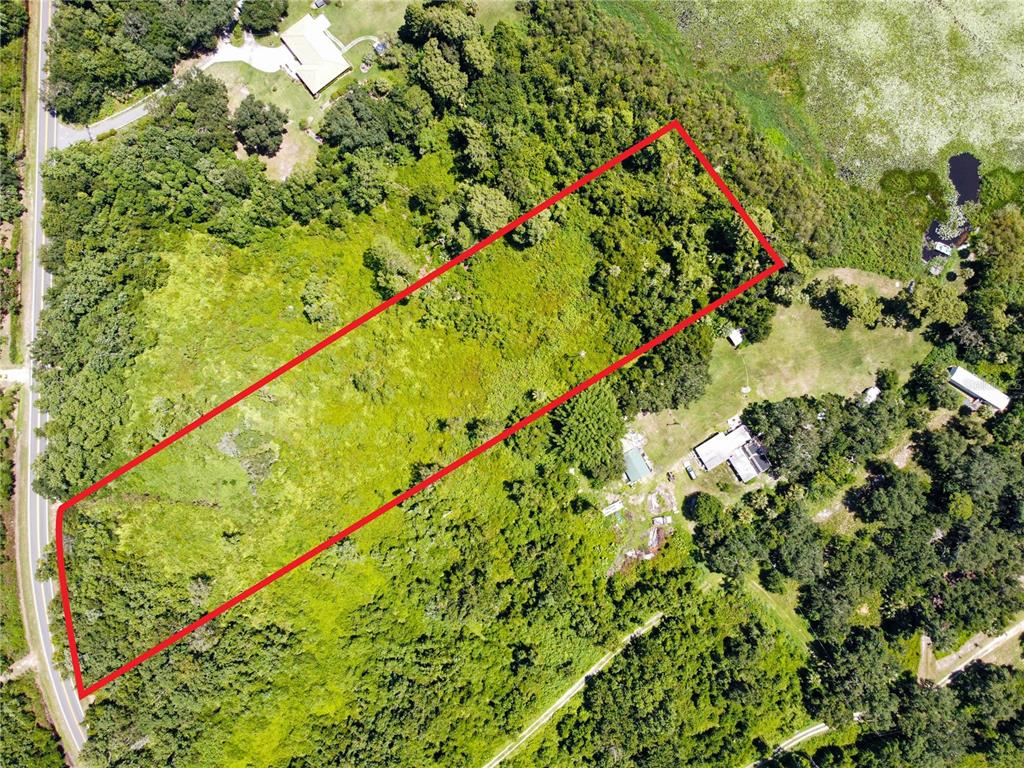 Timberlane Rd Lake Lake Wales, FL 33898 - Photo 8 of 10 a view of a yard with a plant