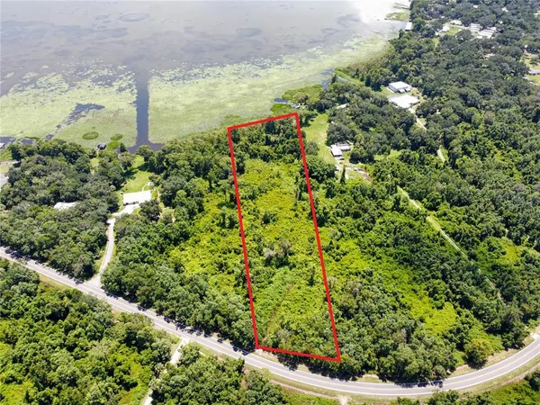 a view of a garden with a plant