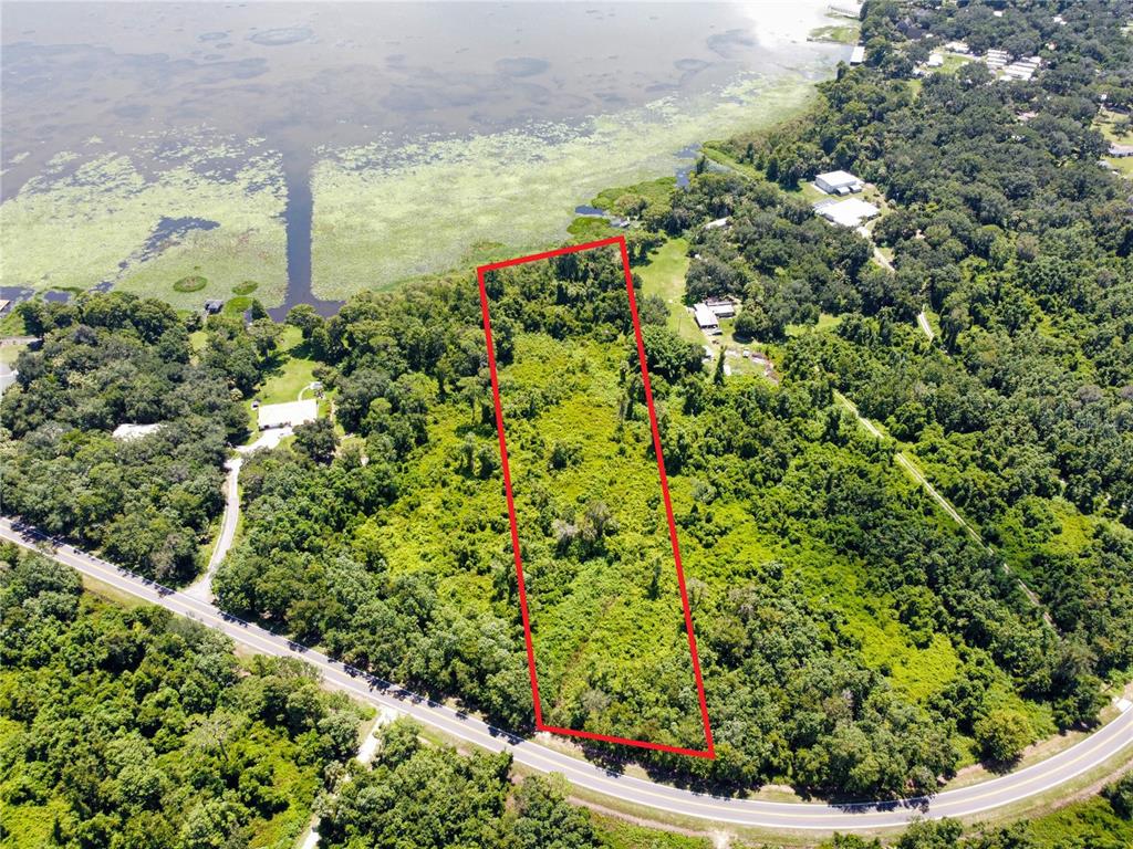Timberlane Rd Lake Lake Wales, FL 33898 - Photo 9 of 10 a view of a garden with a tree