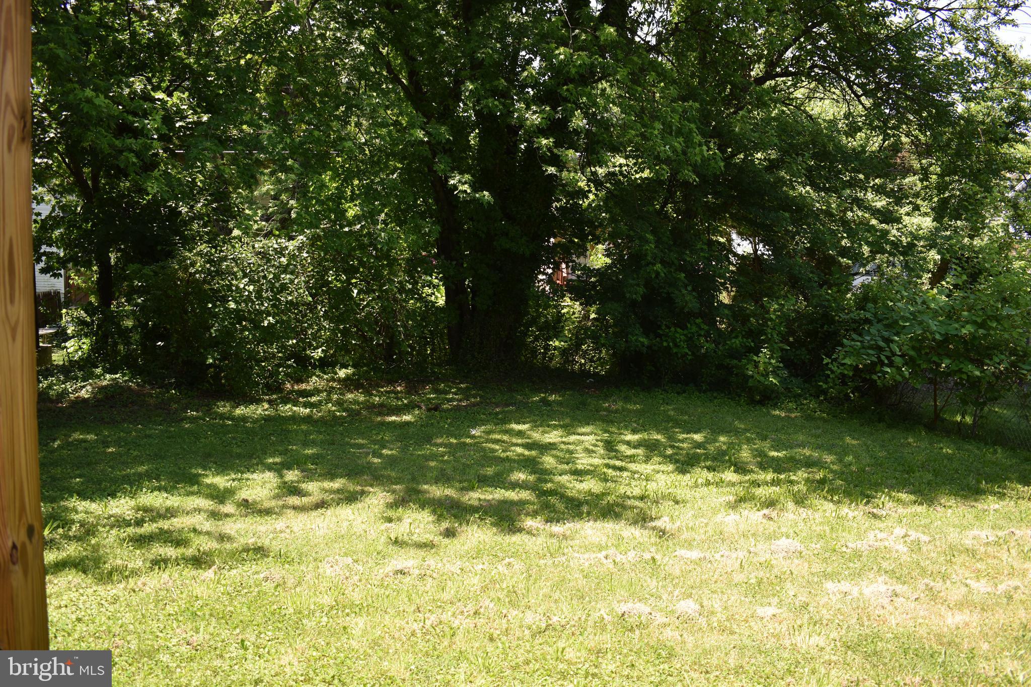4211 Moravia Road Baltimore, MD 21206 - Photo 31 of 31 Level Backyard