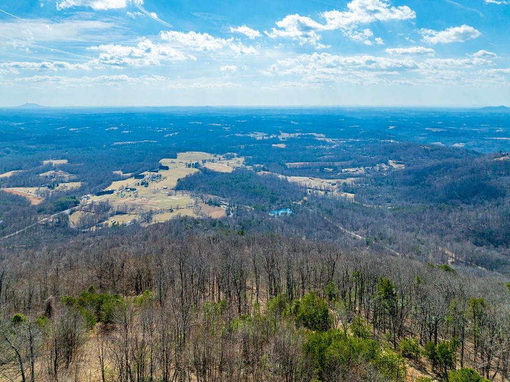 Lot 104 Spring Pond Trail, Unit 104 Fancy Gap, VA 24328 - Photo 1 of 54 Gallery Image 1