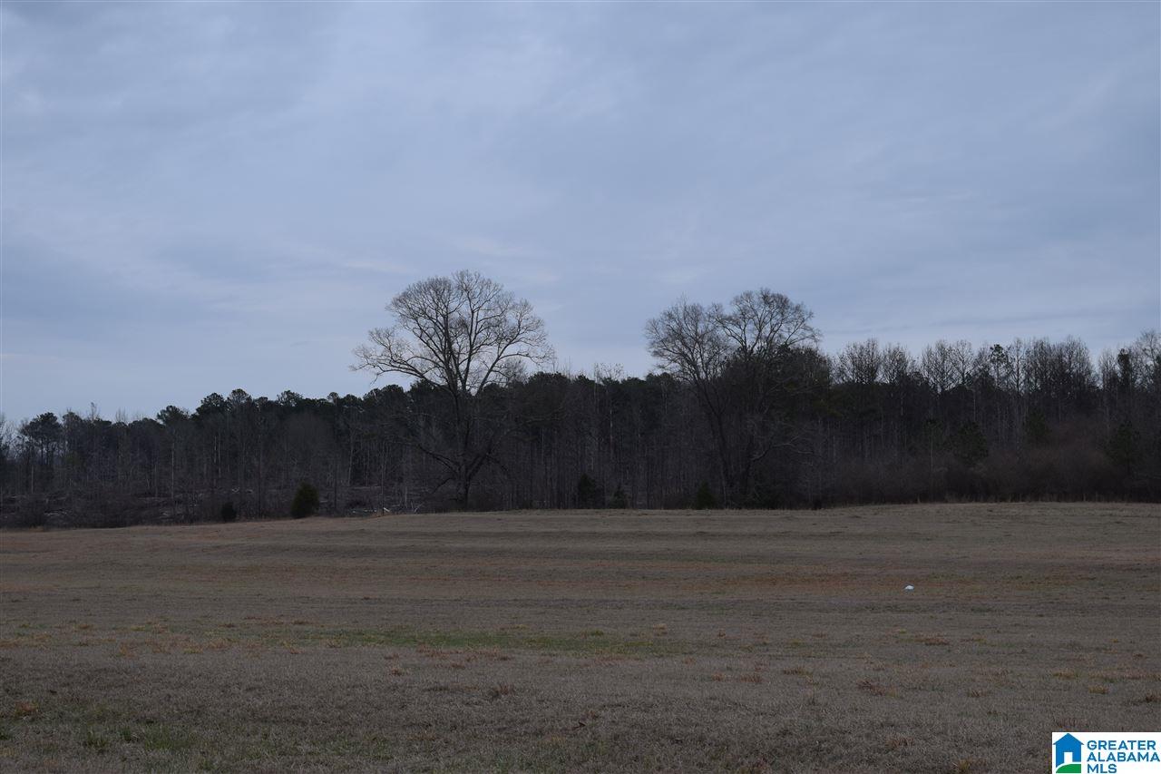 11218 Vance Blocton Road Vance, AL 35490 - Photo 15 of 37