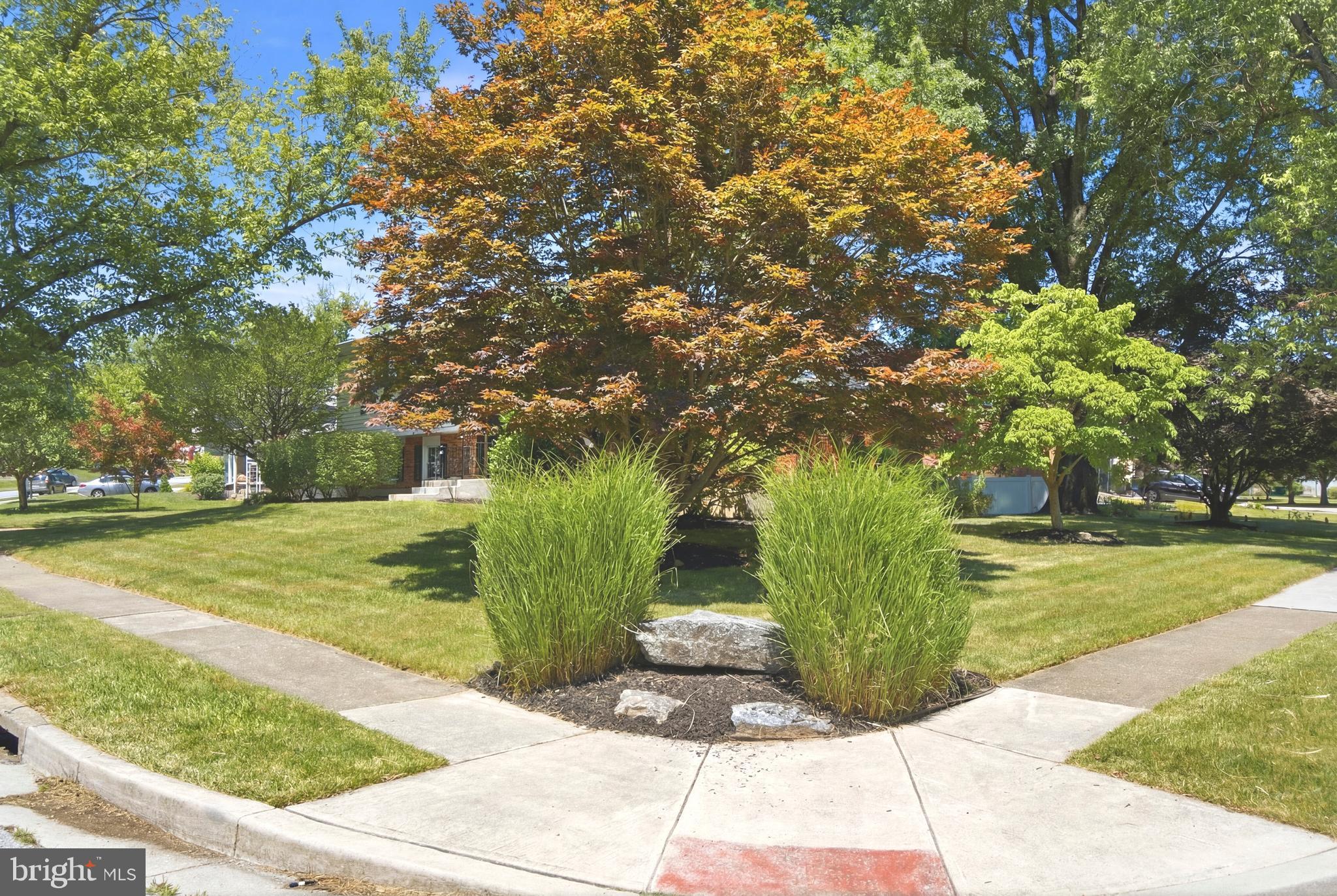 220 Solway Road Lutherville-Timonium, MD 21093 - Photo 36 of 38 a view of a garden