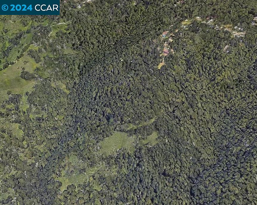 0 Lilac Avenue Woodside, CA 94062 - Photo 5 of 6