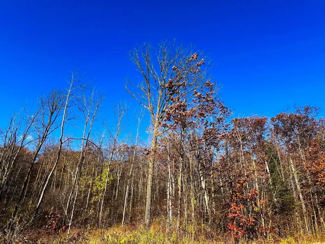 $69,900 | Lot 1 Breakneck Road, Birchwood, WI 54817