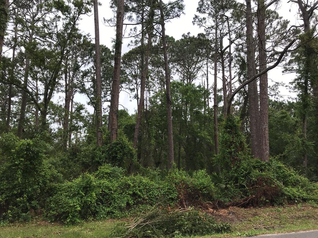 34-36 Gibson Road Apalachicola, FL 32320 - Photo 2 of 2