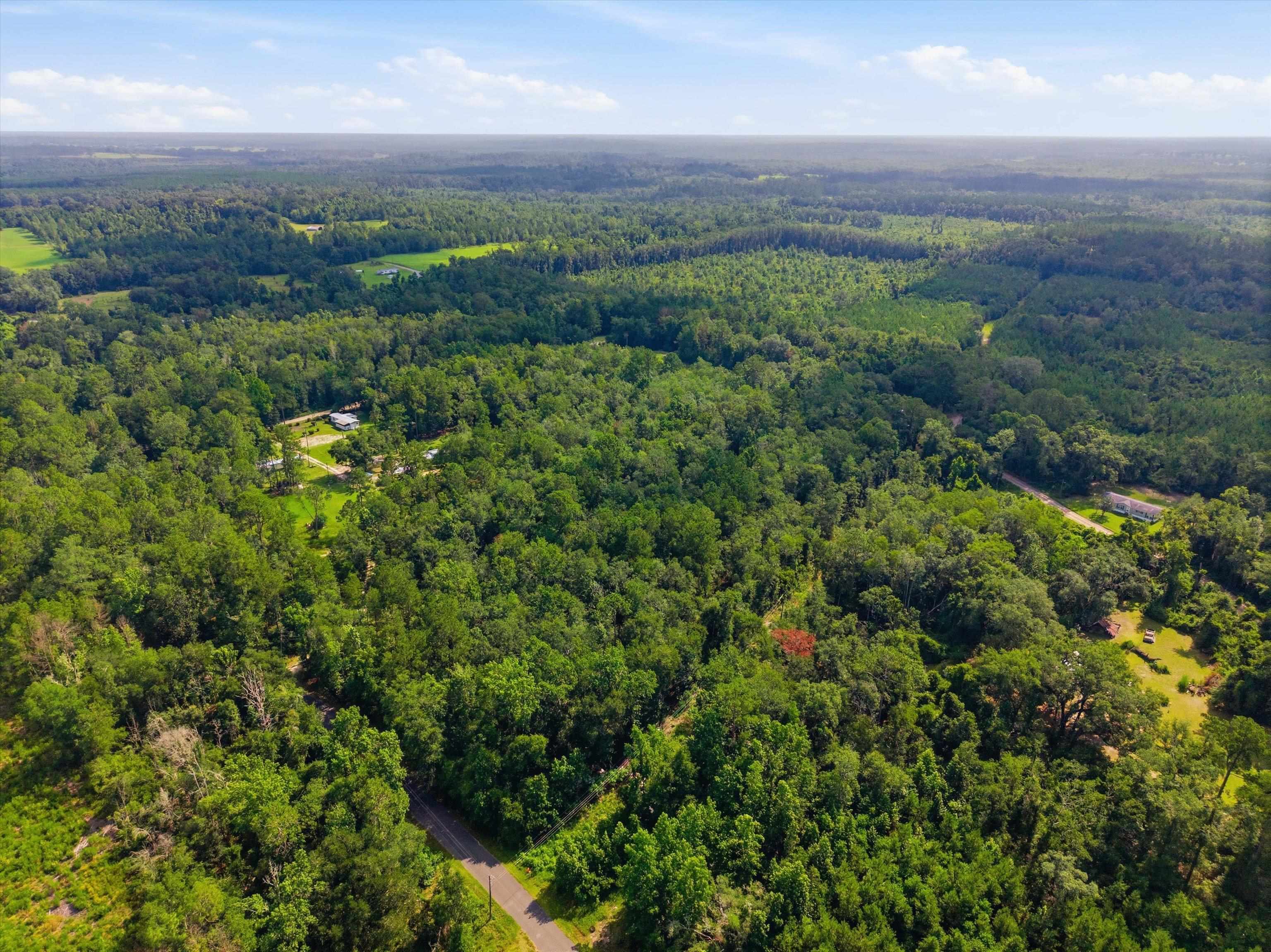 Xxx Neely Road Monticello, FL 32344 - Photo 12 of 37