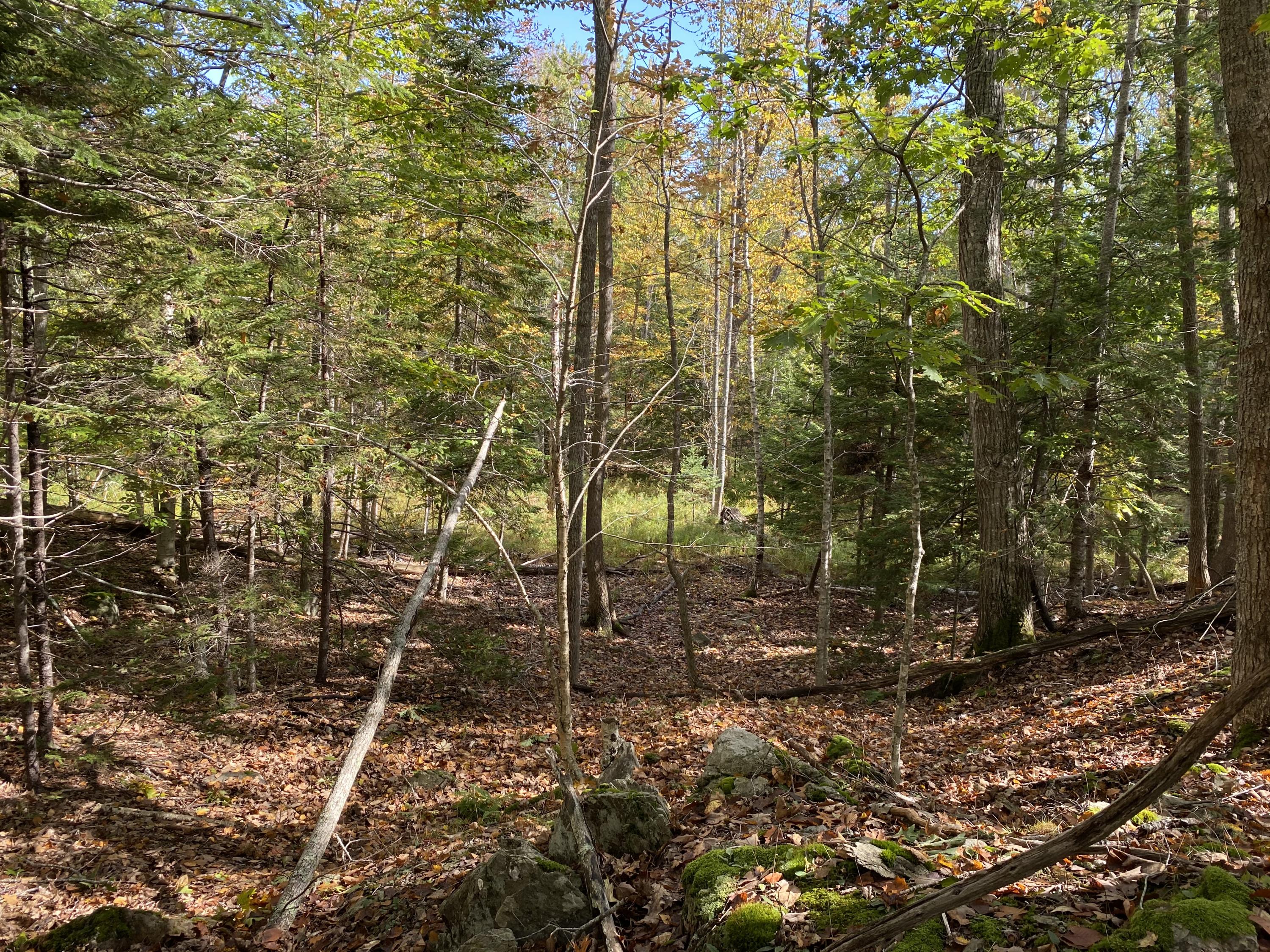 0 West Bay Road Islesboro, ME 04848 - Photo 27 of 60 IMG_1640