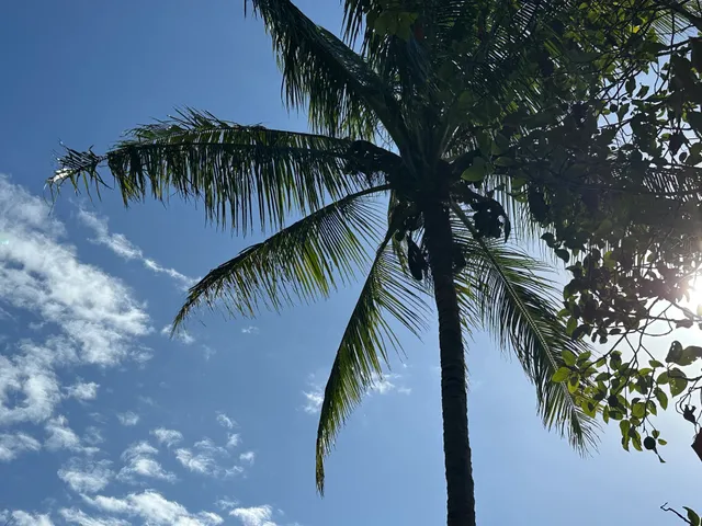 $398,000 | 53-4214-a Akoni Pule Highway, Unit 153B, Kapaau, HI 96755