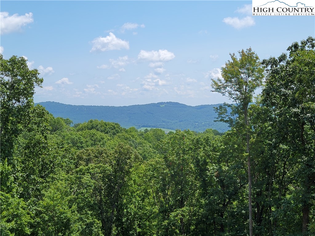 675 Wilderness Road Hays, NC 28635 - Photo 37 of 50 Gallery Image 37