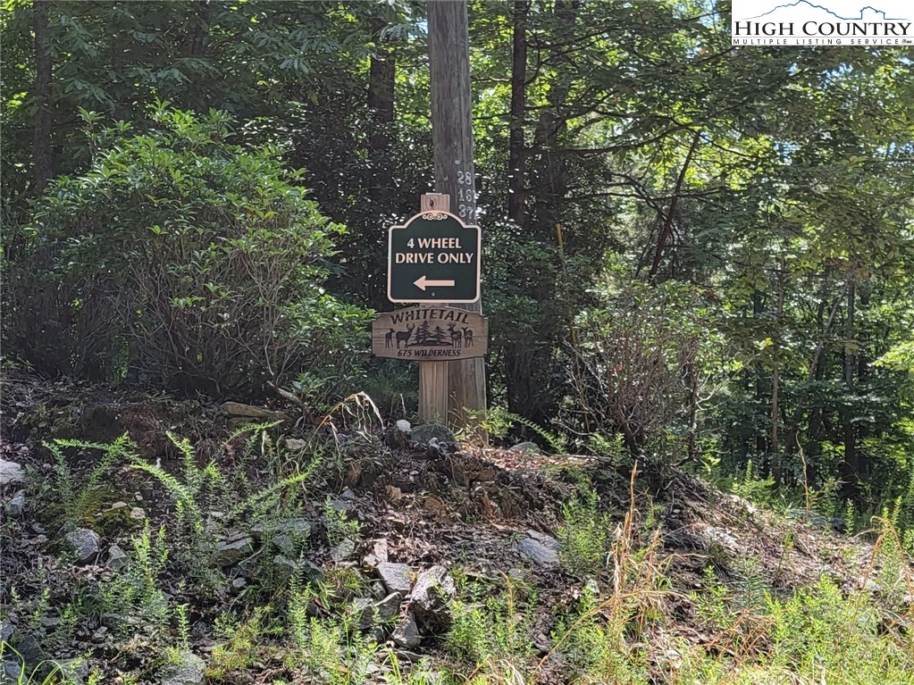 675 Wilderness Road Hays, NC 28635 - Photo 46 of 50 Gallery Image 46