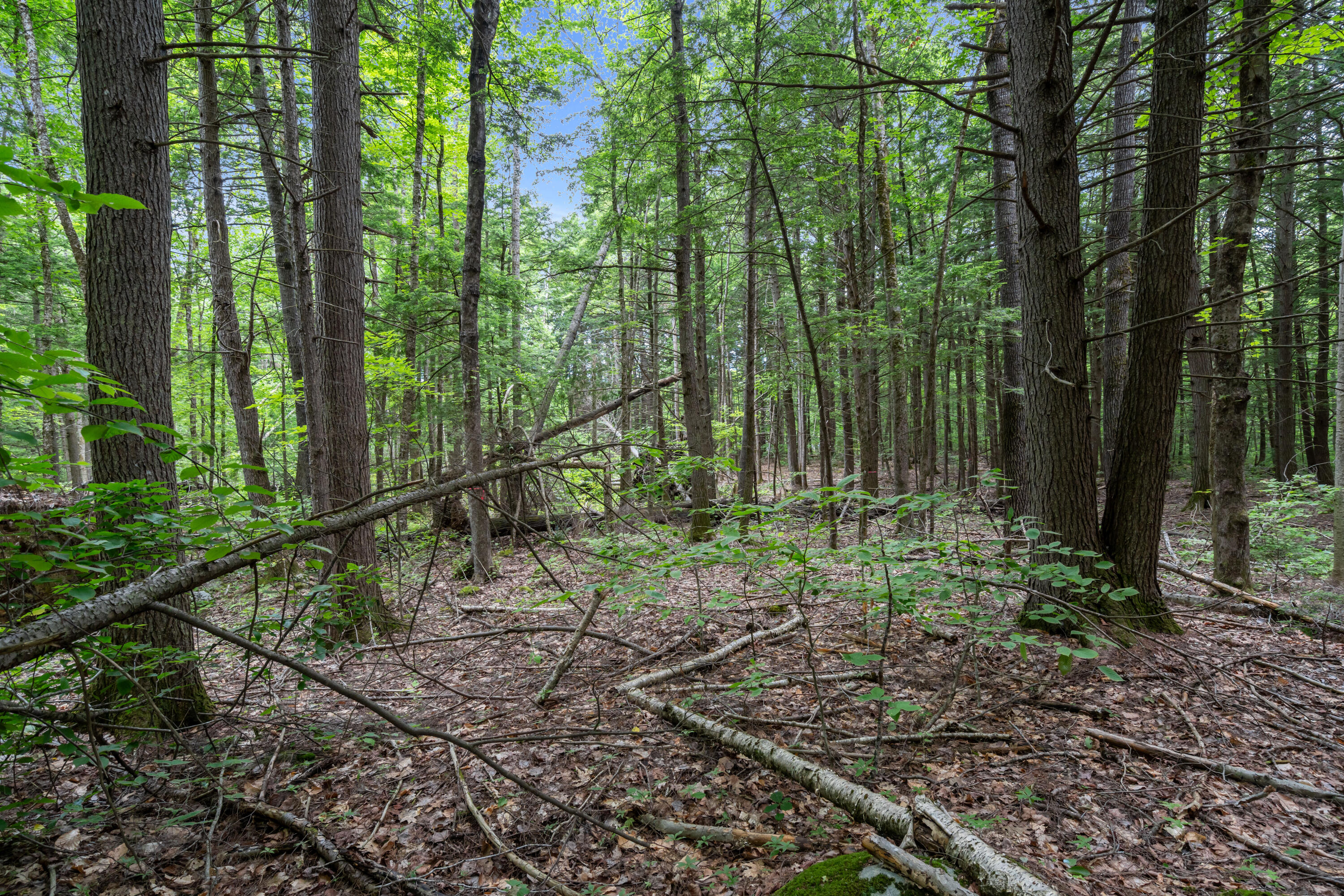 Lot 1-8 Watson Hill Road Limerick, ME 04048 - Photo 26 of 26 DSC00982 y
