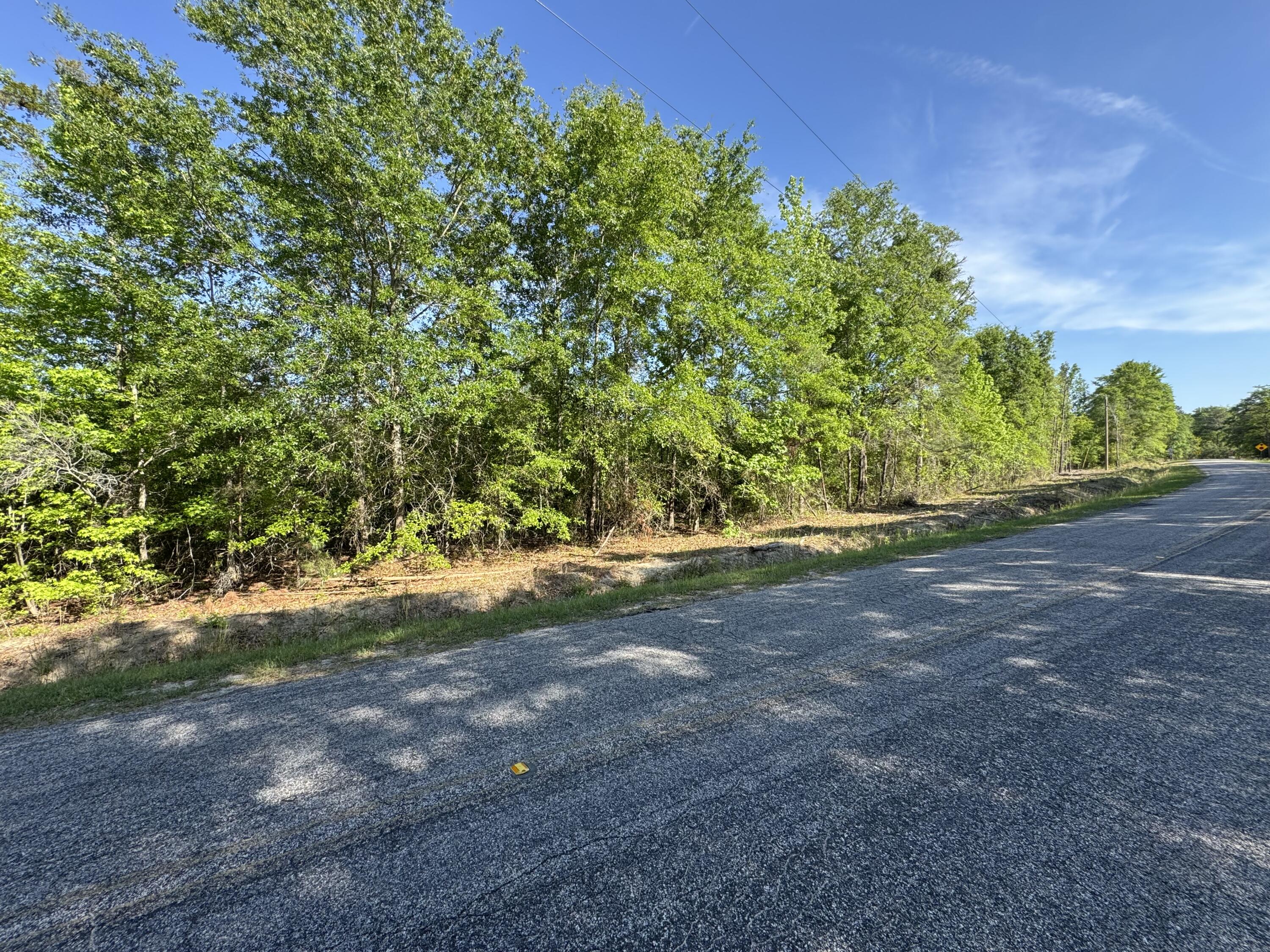 0 Huggins Road Rembert, SC 29128 - Photo 6 of 13 Gallery Image 6