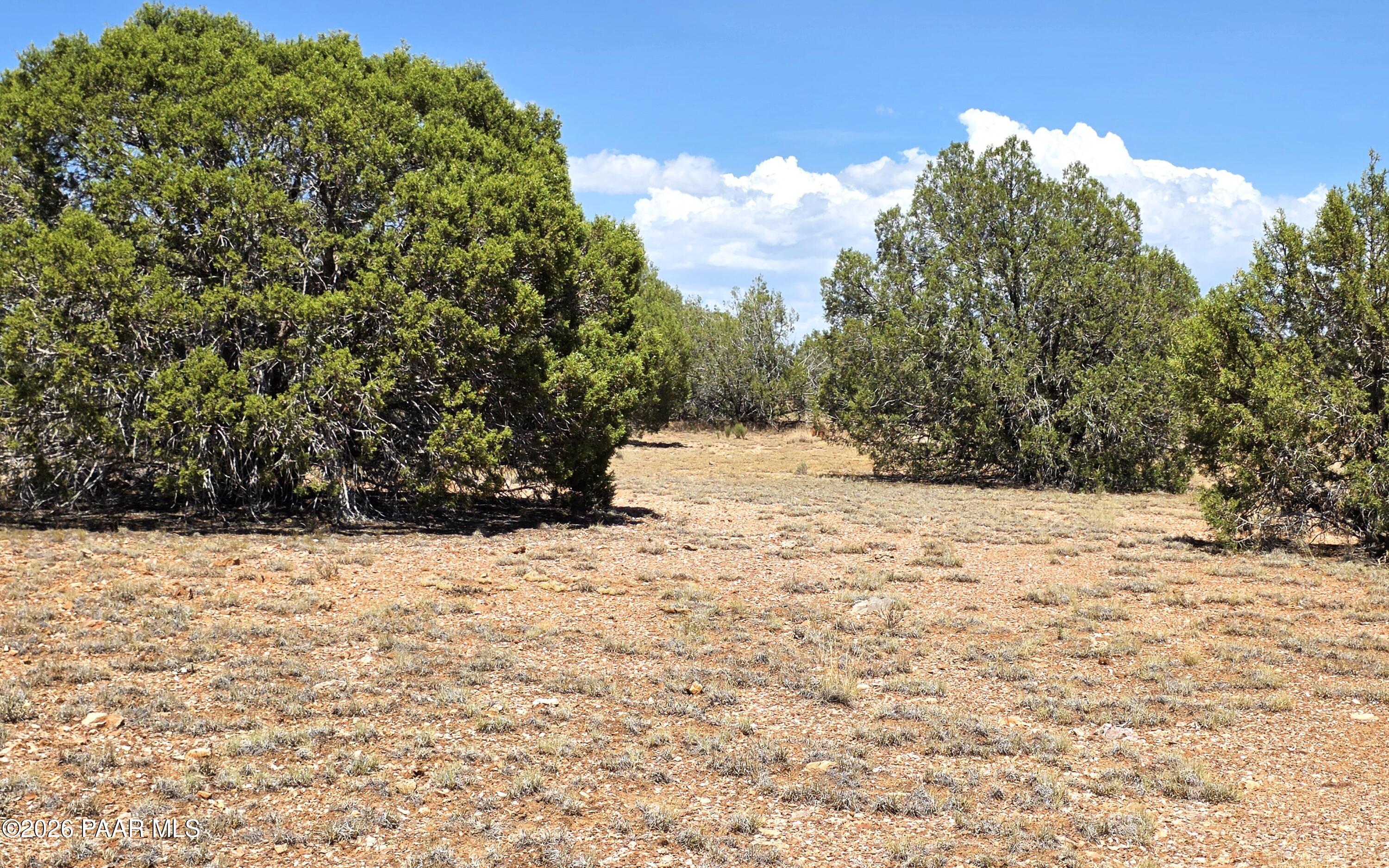 3200 Poppy Road Ash Fork, AZ 86320 - Photo 32 of 34 20260711_141925