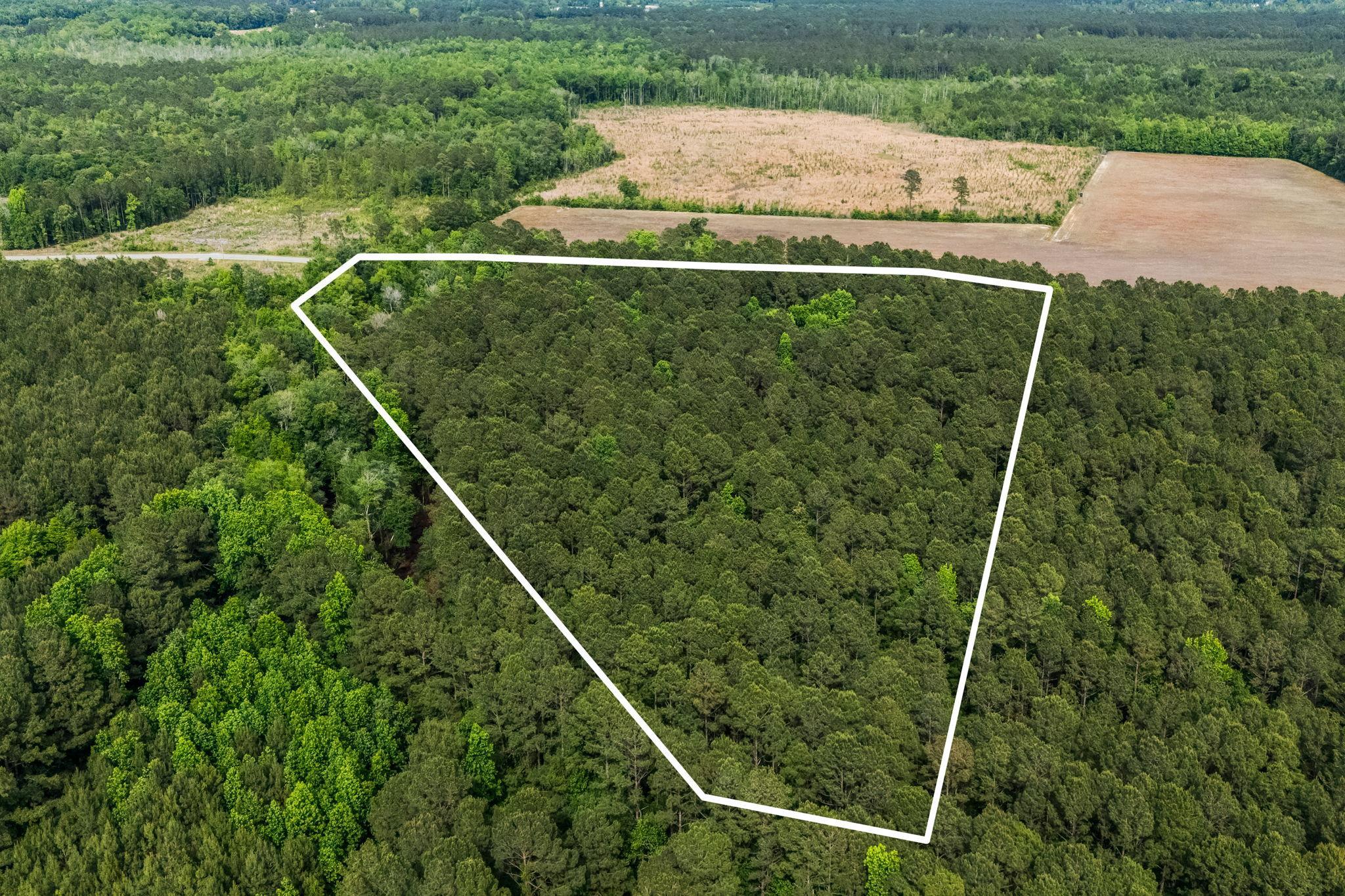 2850 Gause Road Loris, SC 29569 - Photo 11 of 24
