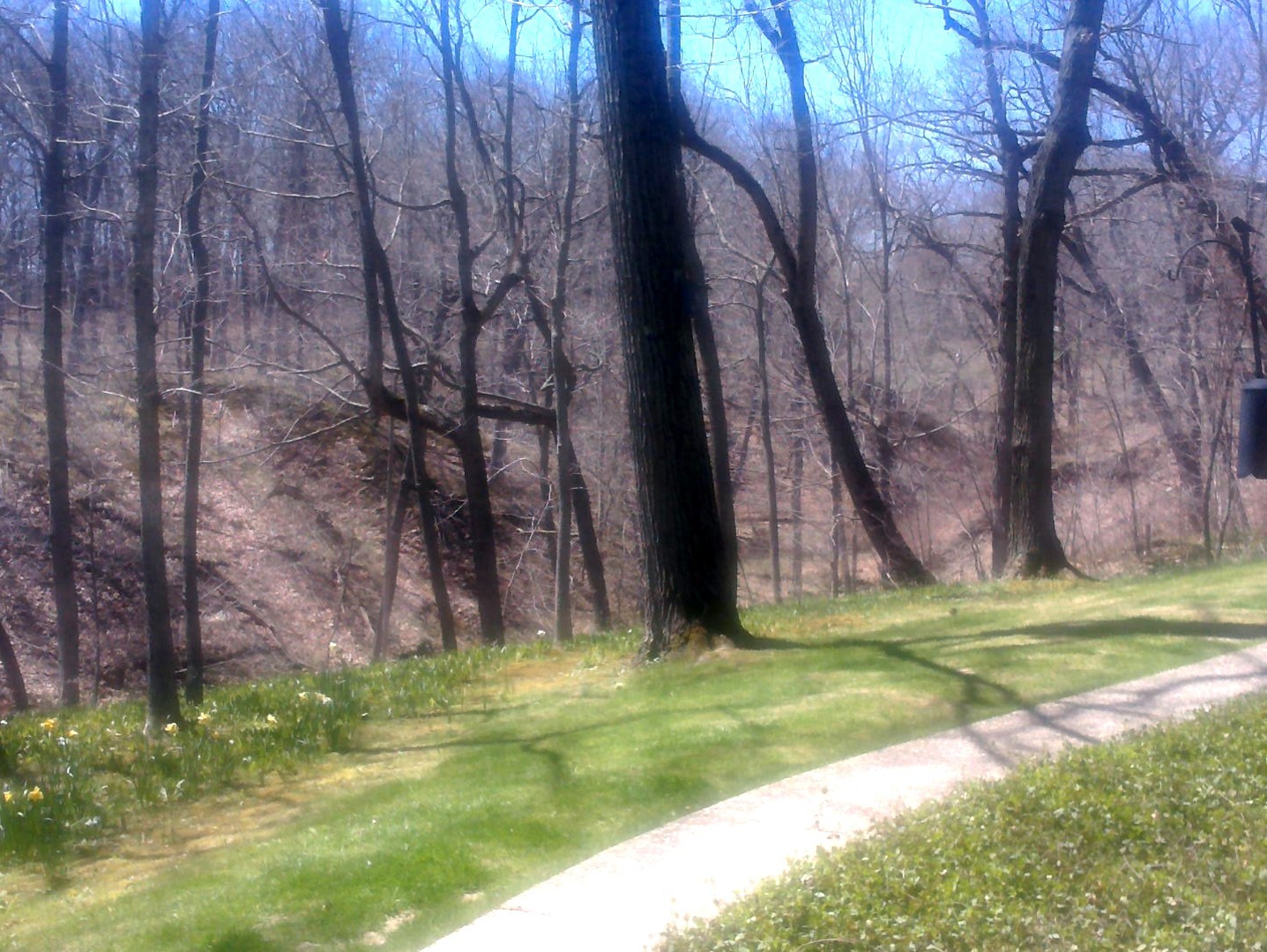 1201 Turicum Road Lake Forest, IL 60045 - Photo 19 of 20 a view of a backyard with a tree