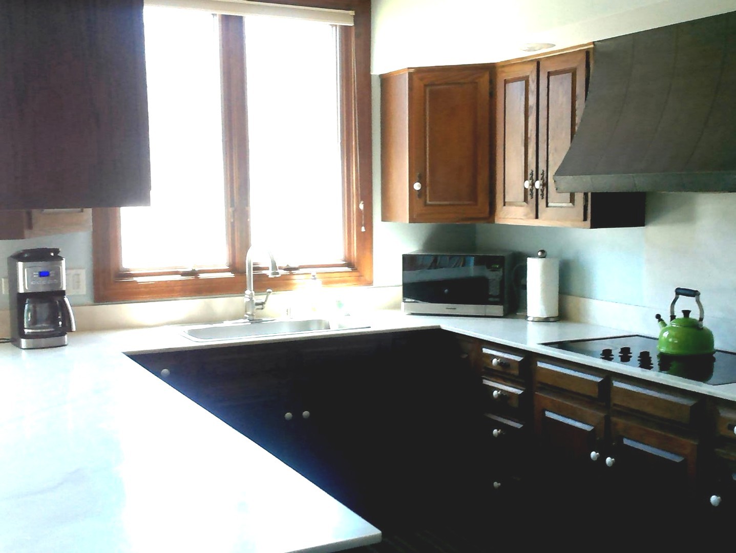 1201 Turicum Road Lake Forest, IL 60045 - Photo 10 of 20 a kitchen with a sink and a window