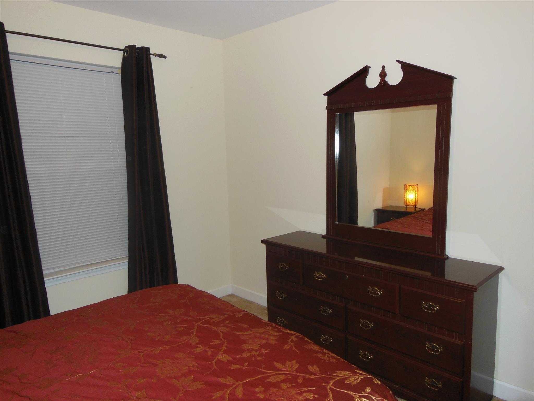 2881 Evergreen Ridge Point Nashville, TN 37217 - Photo 13 of 18 a bedroom with a bed and a mirror on dresser