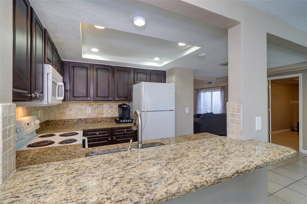 4451 Tidal Pond Road New Port Richey, FL 34652 - Photo 11 of 25