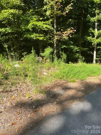 $384,000 | 0 Lakeside Drive, Union, SC 29379