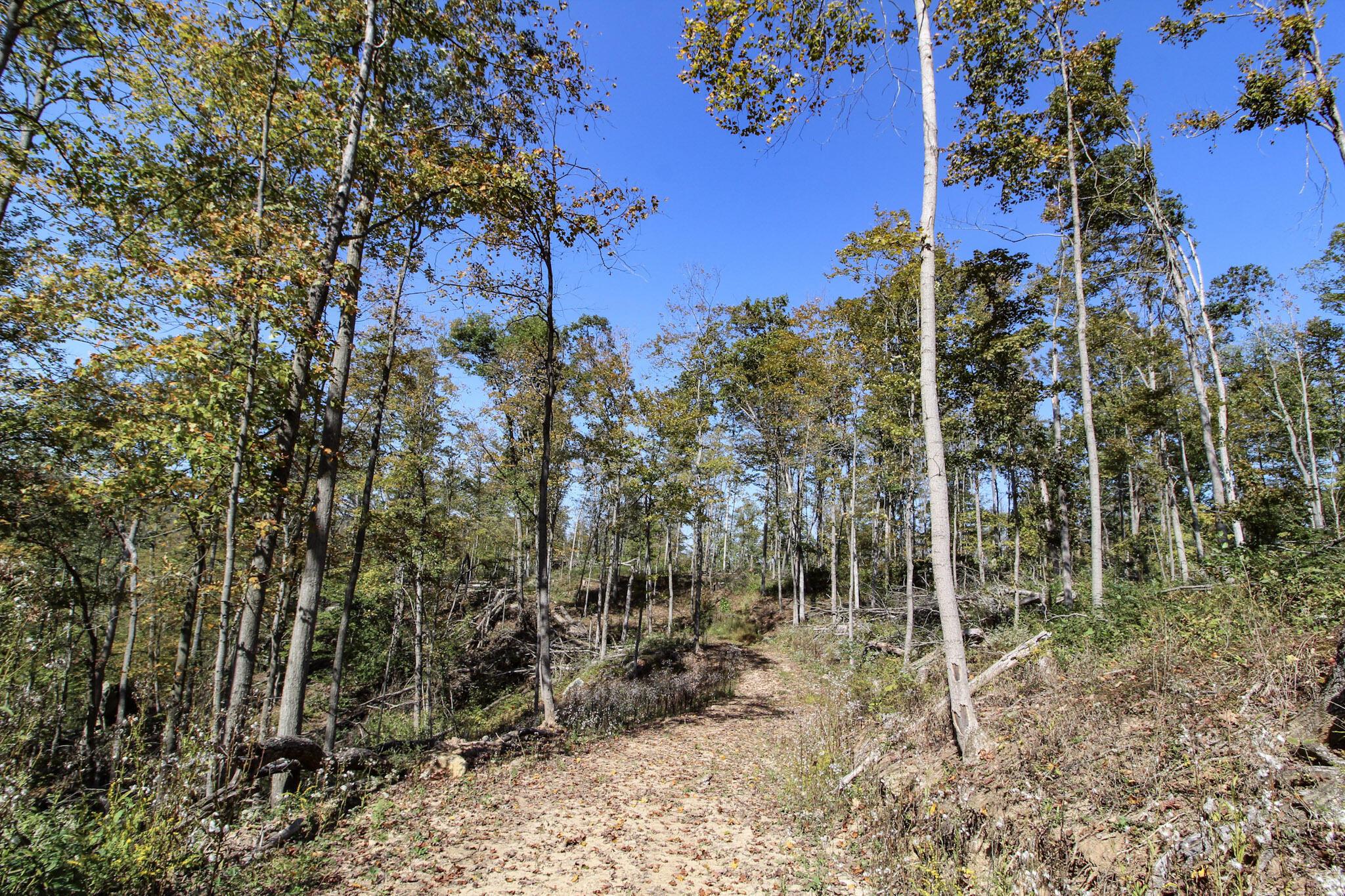 Lot 1 Brooks Road Marietta, OH 45750 - Photo 8 of 23 6-IMG_9084
