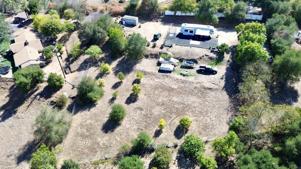 a picture of flowers in front of flowers