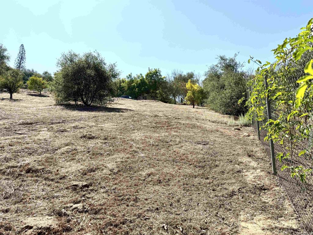 0 Olive Hill Road Fallbrook, CA 92028 - Photo 27 of 40 a backyard of a house with lots of green space