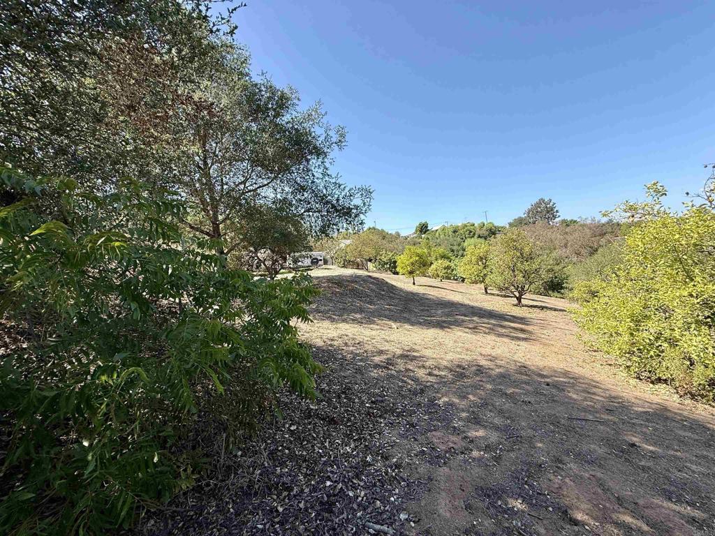 0 Olive Hill Road Fallbrook, CA 92028 - Photo 37 of 40 a view of a road with a yard