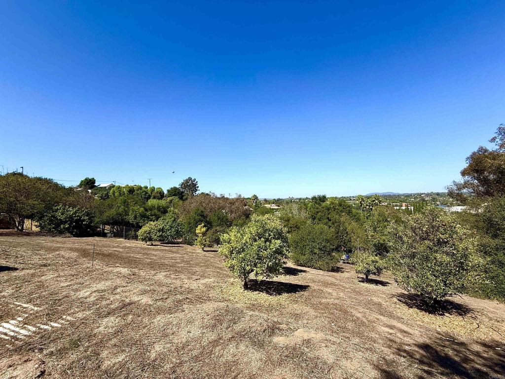 0 Olive Hill Road Fallbrook, CA 92028 - Photo 38 of 40 a view of a field with an trees in the background