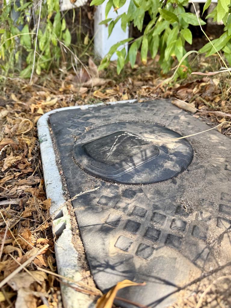 0 Olive Hill Road Fallbrook, CA 92028 - Photo 7 of 40 a view of a plant in a yard