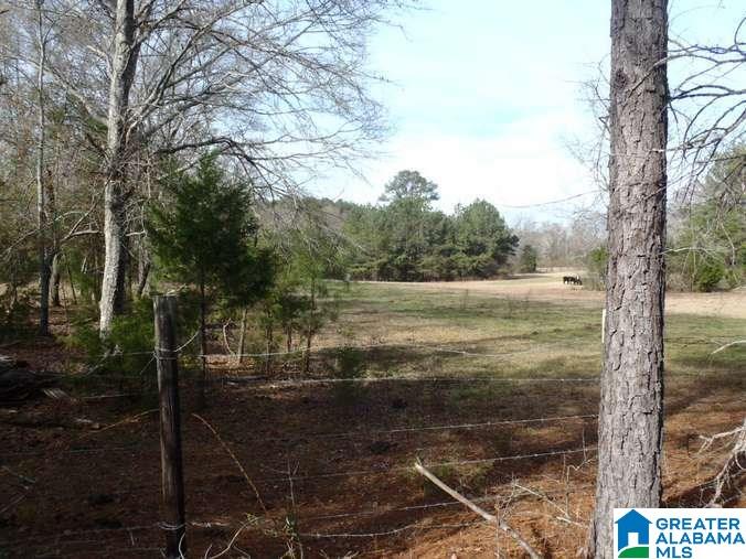 6510 Glovers Ferry Road Alpine, AL 35014 - Photo 19 of 25