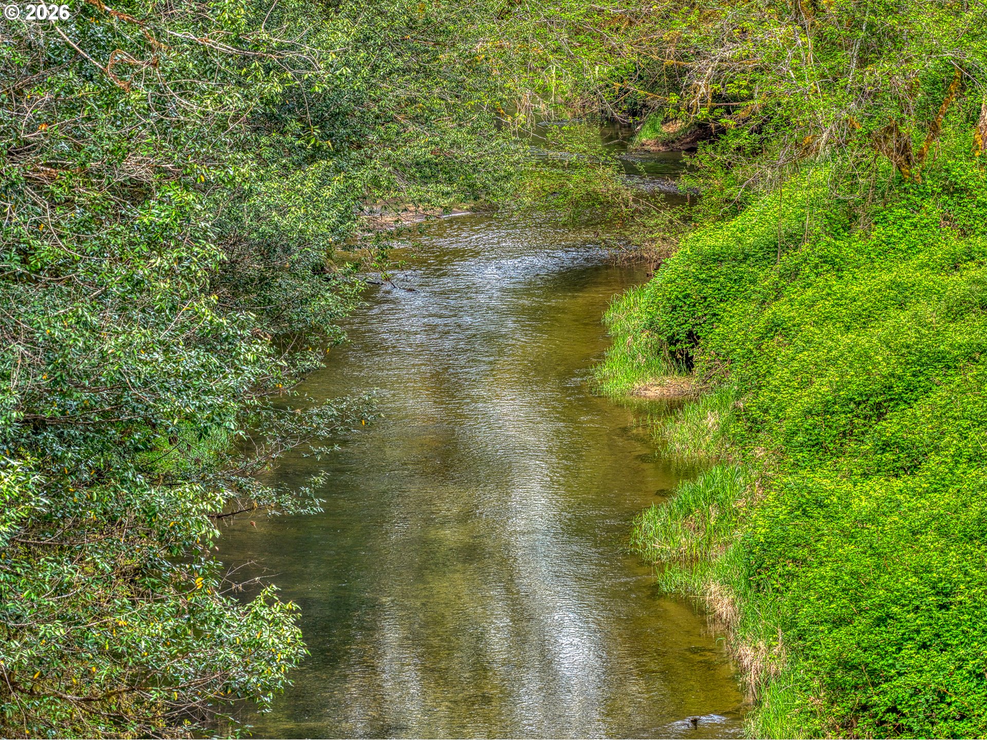 99554 Lone Pine Lane Myrtle Point, OR 97458 - Photo 3 of 44