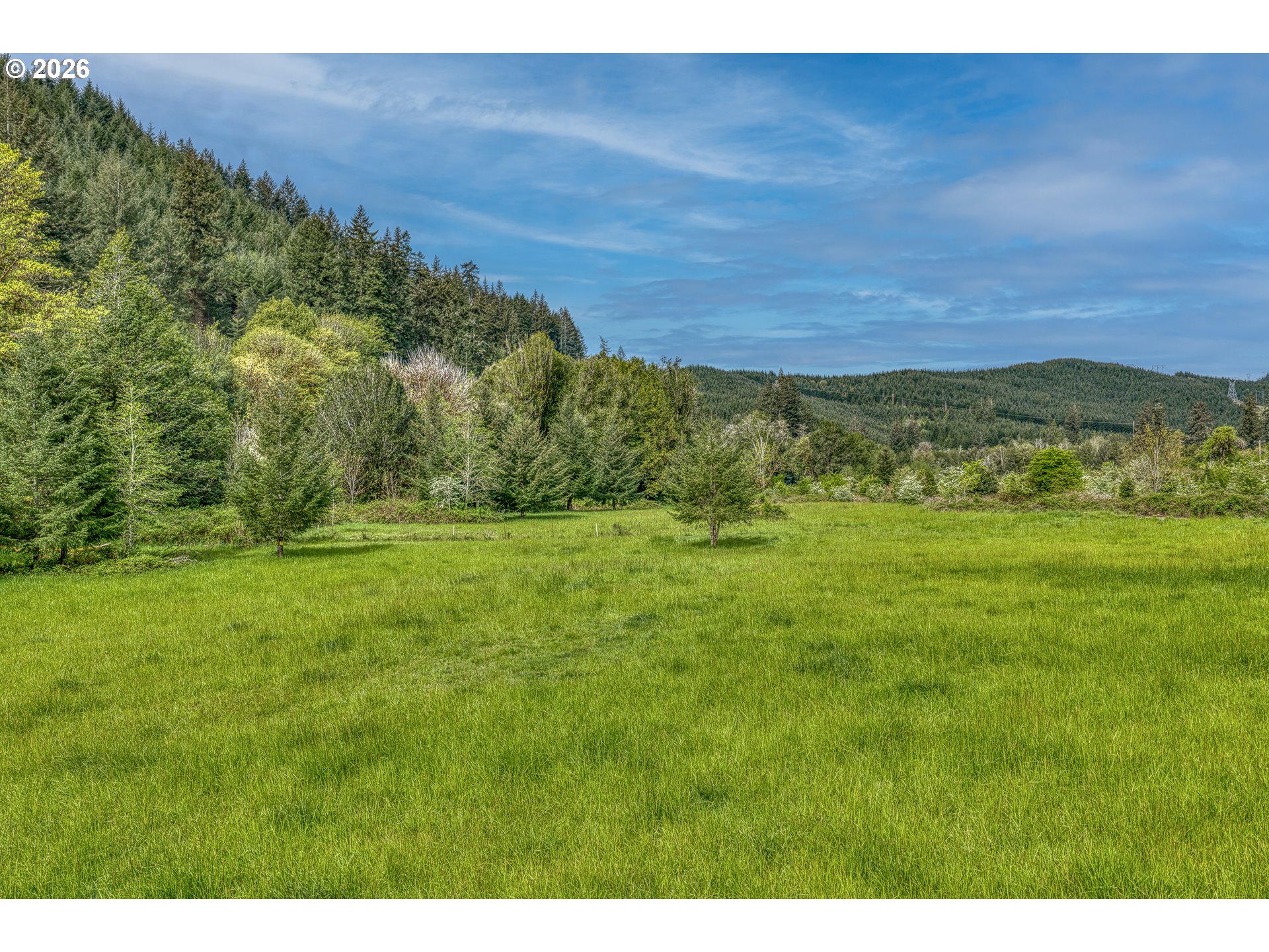 99554 Lone Pine Lane Myrtle Point, OR 97458 - Photo 36 of 44