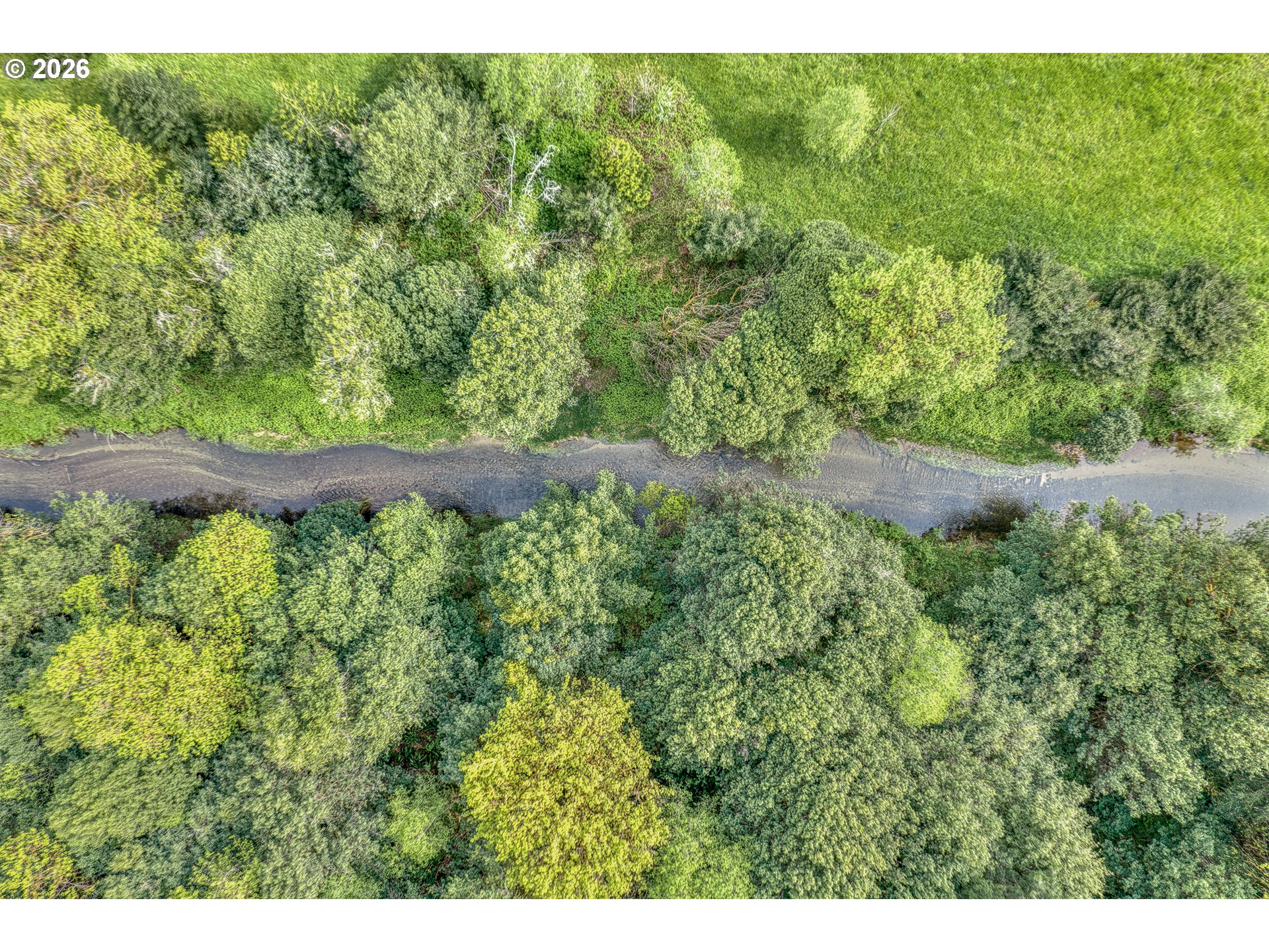 99554 Lone Pine Lane Myrtle Point, OR 97458 - Photo 40 of 44