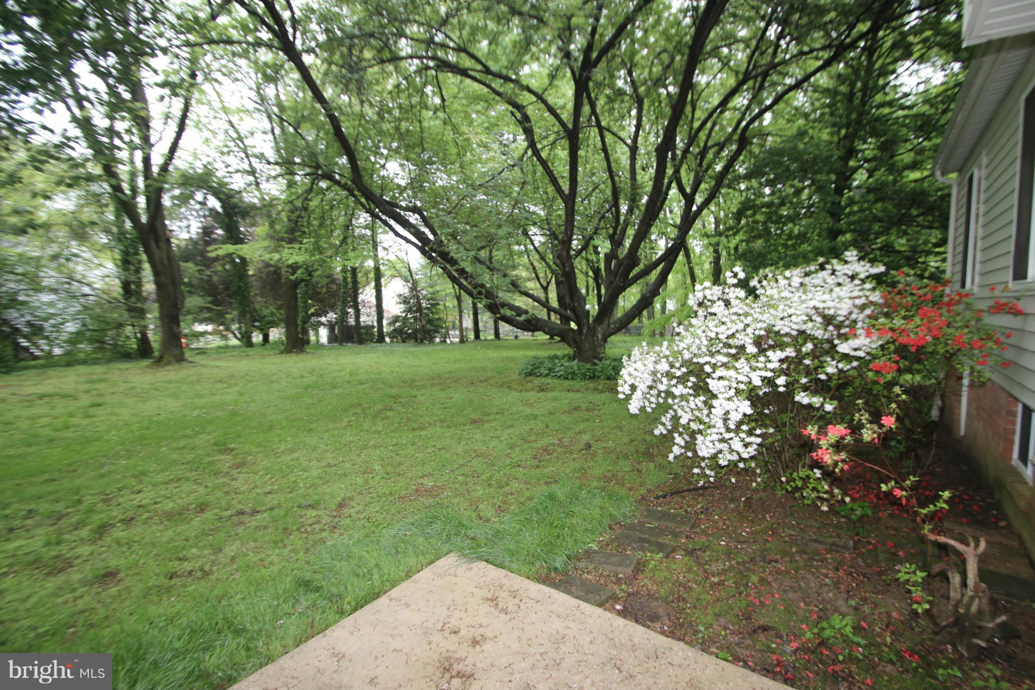 3405 Briars Road Brookeville, MD 20833 - Photo 20 of 21 a view of a garden with a tree