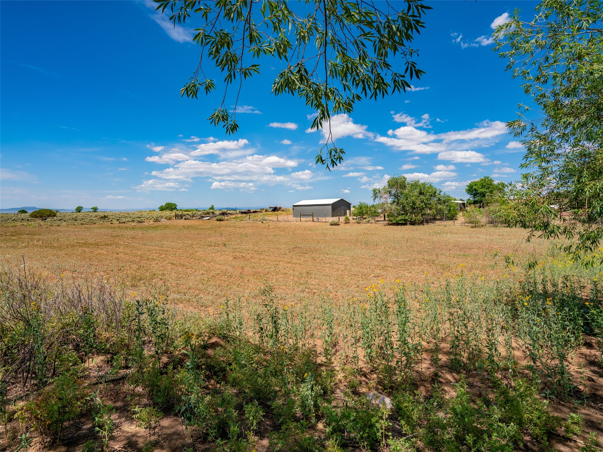 Tbd Shana Madre Road El Prado, NM 87529 - Photo 24 of 30