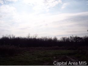 10664 Water Plant Road Palmyra, IL 62674 - Photo 8 of 10 Gallery Image 8